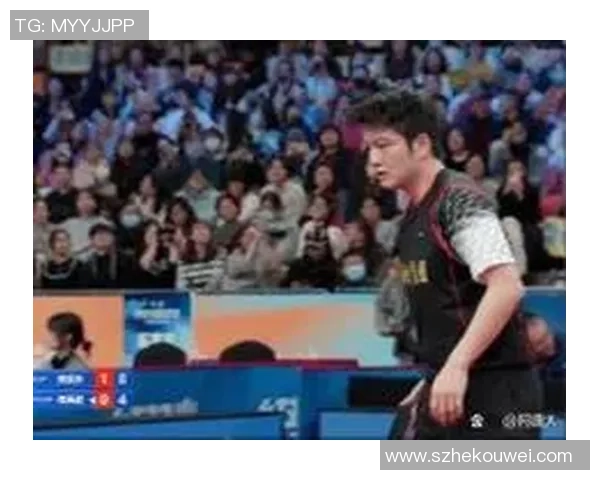 上海乒乓球队在联赛中的个人能力分析与表现评估