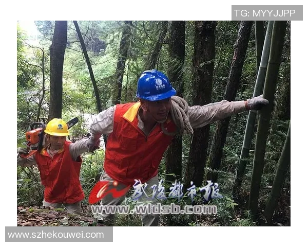 重庆攀岩队领跑最新攀岩团队协作排行榜前十名分析与展望